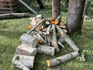 Sazāģēti vētras nogāzto koku stumbri un zari privātīpašumā