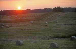 Silts vasaras vakars Latvijas laukos