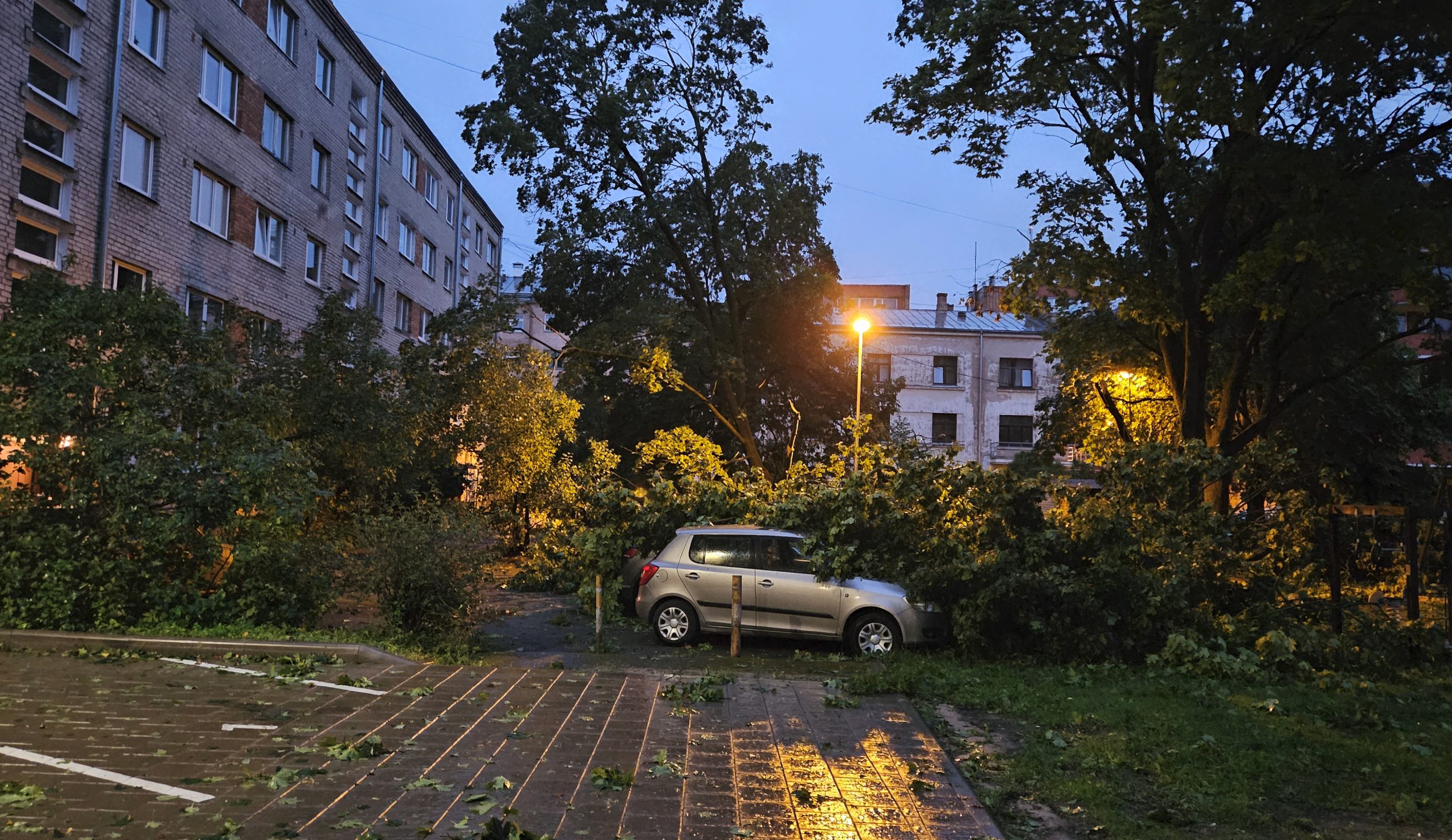 Vētras nolauzti koki pie daudzdzīvokļu mājas