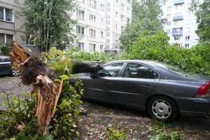 Vētrā nolūzis koks uzkritis automašīnai Rīgā, Imantā