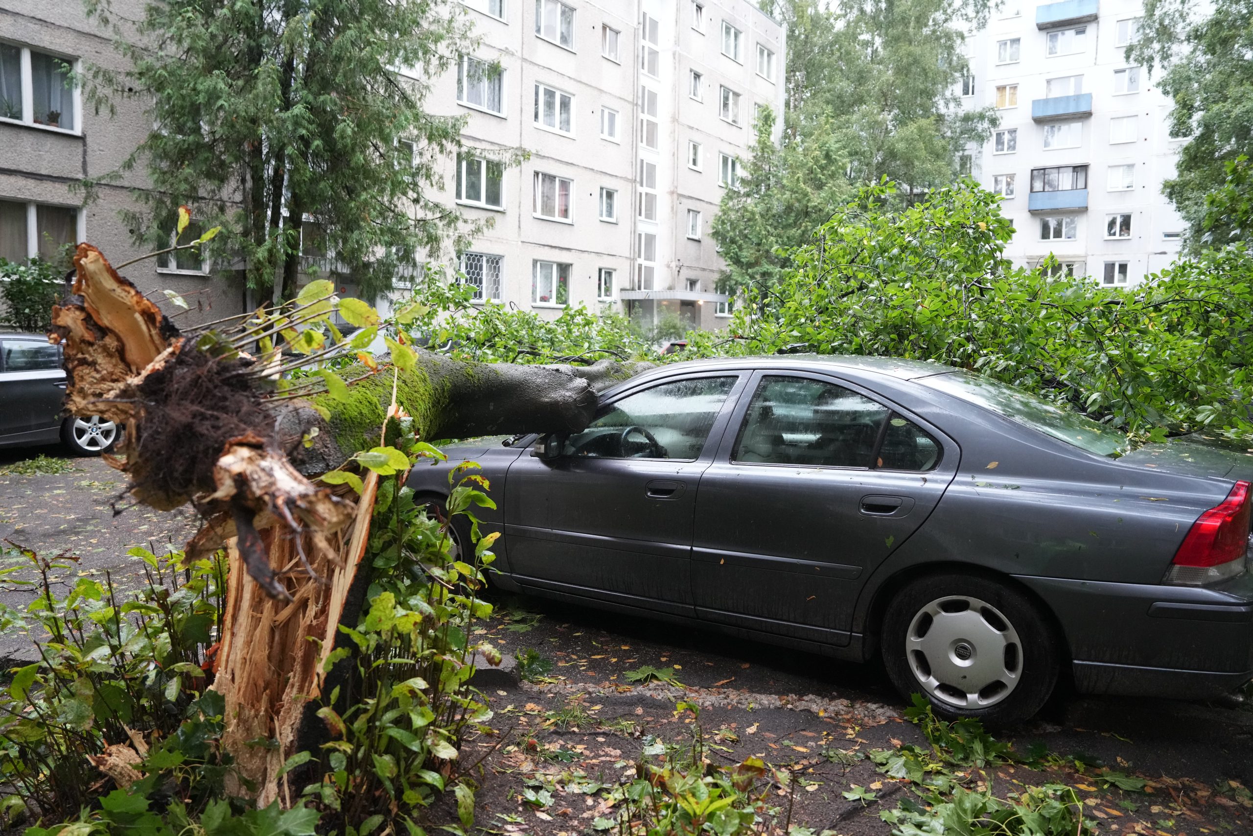 Vētrā nolūzis koks uzkritis automašīnai Rīgā, Imantā