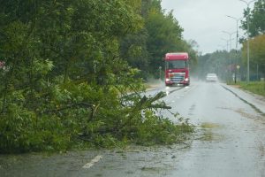 Vētrā nolūzis koks daļēji bloķē slapju autoceļu