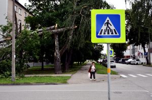 Vētras nolauzti koki pilsētā pie gājēju pārejas
