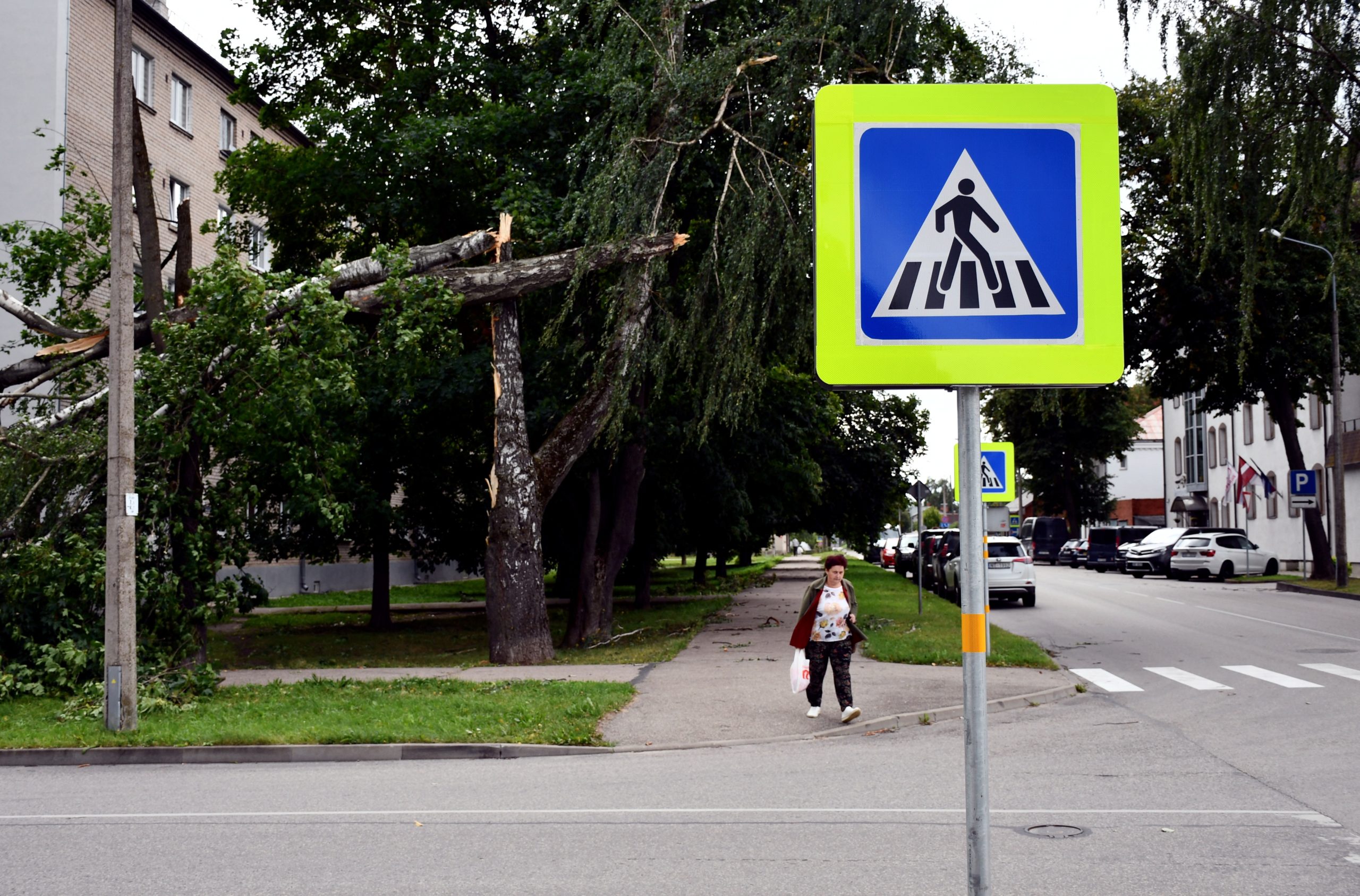 Vētras nolauzti koki pilsētā pie gājēju pārejas