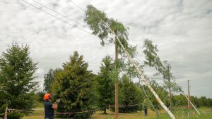 Bīstama koka novākšana pie elektrolīnijas mācībās