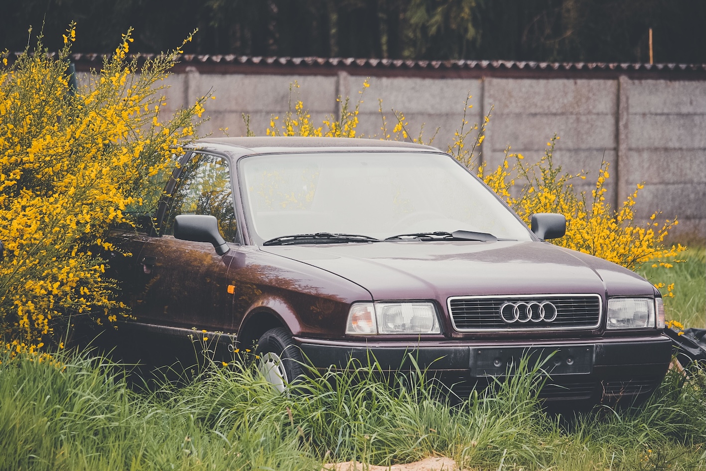 Vecs Audi automobilis ieaudzis garā zālē