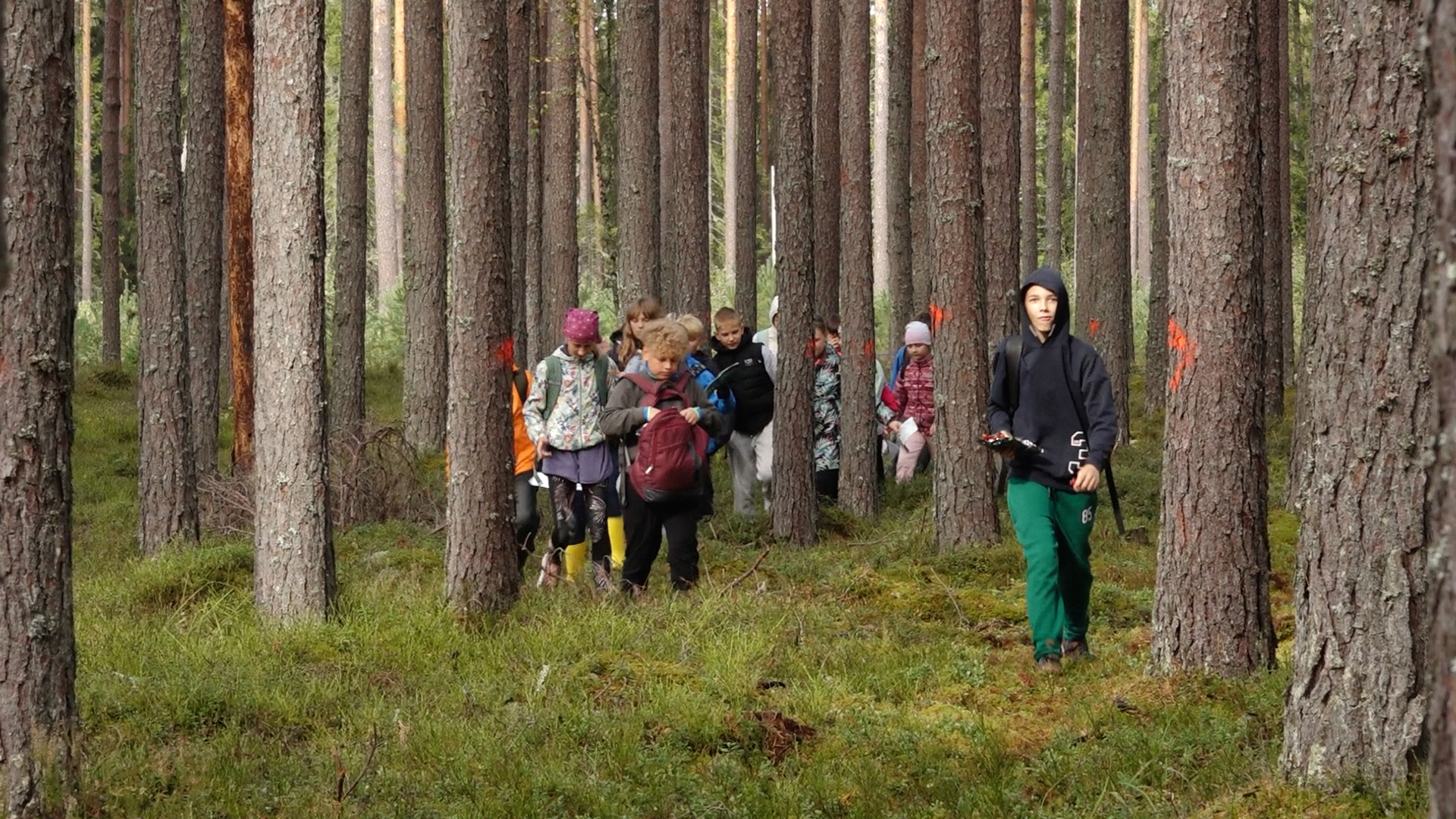 6. klašu skolēni piedalās “Latvijas valsts mežu” Meža ekspedīcijā
