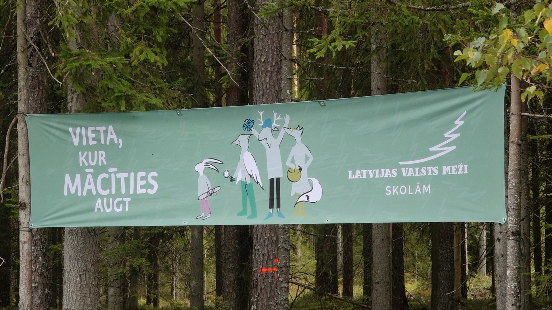 6. klašu skolēni piedalās “Latvijas valsts mežu” Meža ekspedīcijā