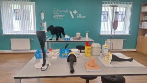 Veterinārmedicīnas simulatori un mācību aprīkojums LBTU simulāciju centrā