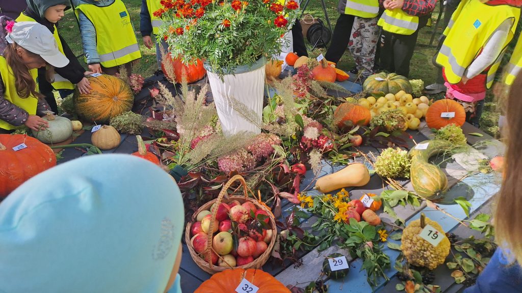 Bērni apskata ķirbjus Jelgavas ķirbju festivālā