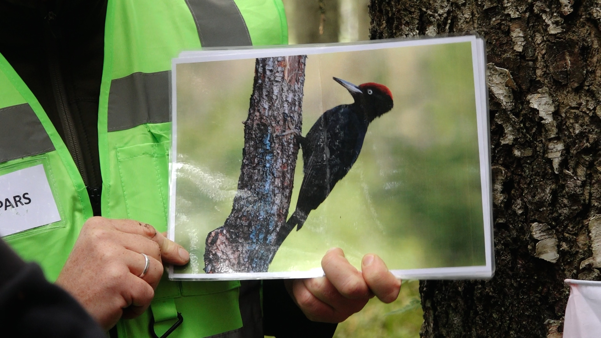 6. klašu skolēni piedalās “Latvijas valsts mežu” Meža ekspedīcijā