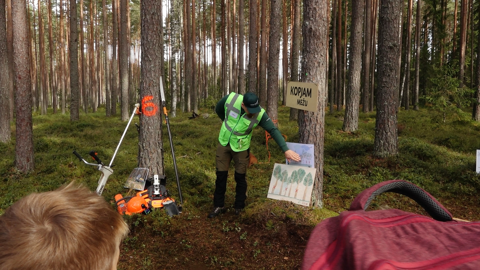 6. klašu skolēni piedalās “Latvijas valsts mežu” Meža ekspedīcijā