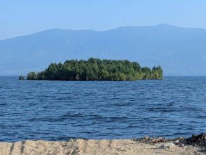 Peldoša, ar kokiem apaugusi sala Vilistona ezerā Kanādā