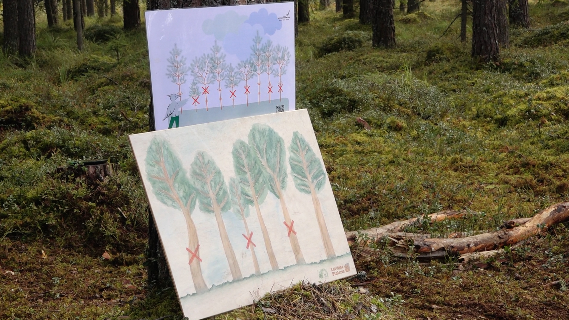 6. klašu skolēni piedalās “Latvijas valsts mežu” Meža ekspedīcijā