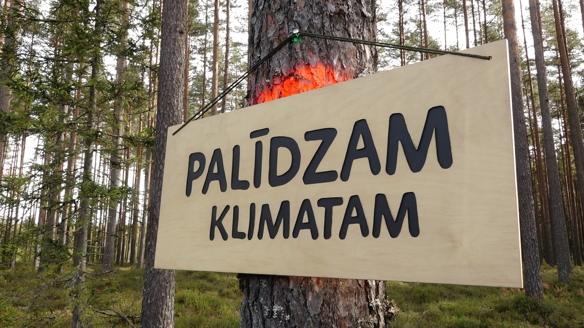 6. klašu skolēni piedalās “Latvijas valsts mežu” Meža ekspedīcijā