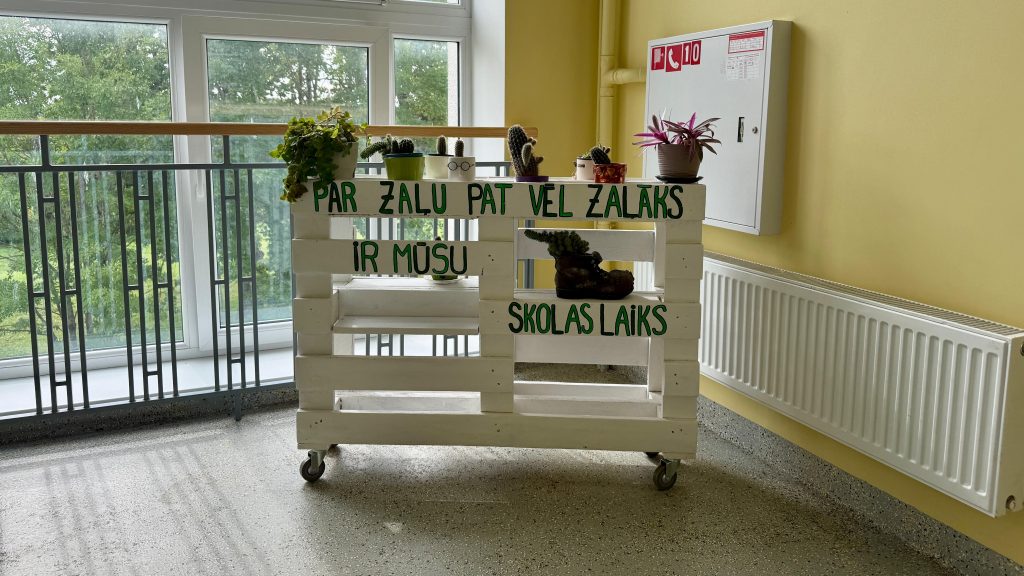 Augi Līvānu 1. vidusskolas gaitenī