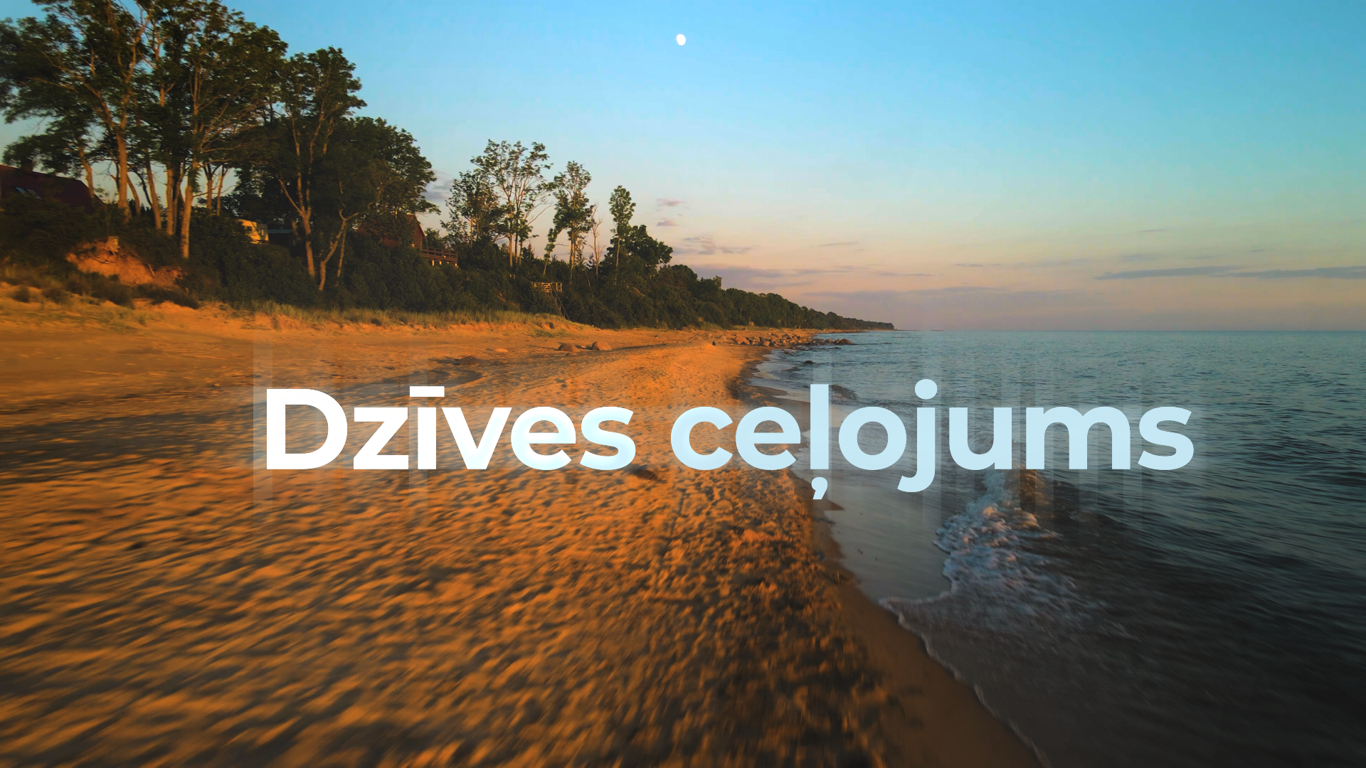 Dzīves ceļojums