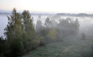 Miglains rudens rīts ar kokiem, pļavu un tālumā redzamām pilsētas ēkām, ko daļēji ieskauj bieza migla.