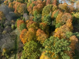 Rudens krāsās iekrāsojies mežs un parks skatā no augšas