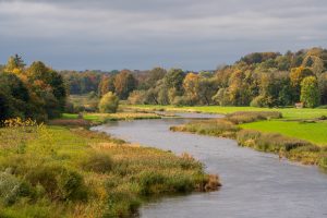 Līkumota upe rudens ainavā, ko ieskauj krāsaini koki, zaļas pļavas un niedrāji zem mākoņainām debesīm.