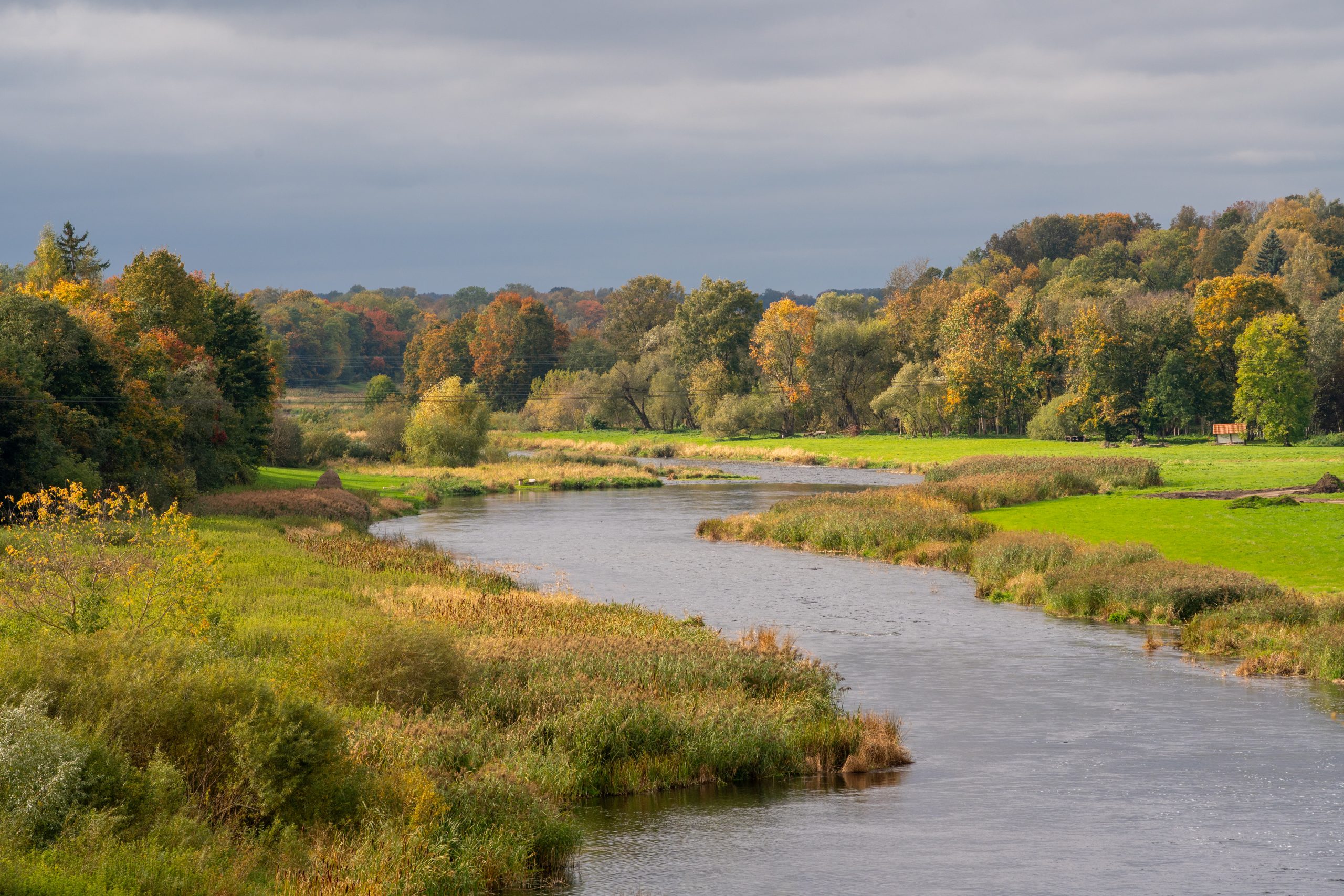 Līkumota upe rudens ainavā, ko ieskauj krāsaini koki, zaļas pļavas un niedrāji zem mākoņainām debesīm.
